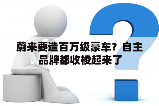 蔚来要造百万级豪车？自主品牌都收棱起来了