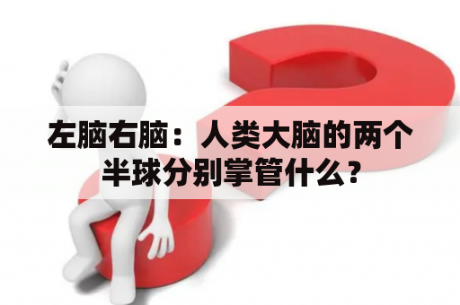 左脑右脑：人类大脑的两个半球分别掌管什么？