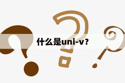 什么是uni-v？