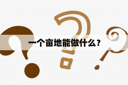 一个亩地能做什么？