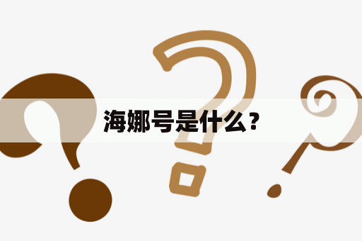 海娜号是什么？