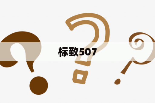 标致507