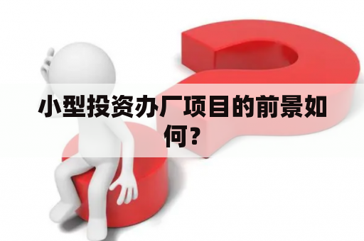 小型投资办厂项目的前景如何？