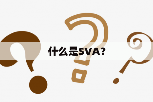 什么是SVA？