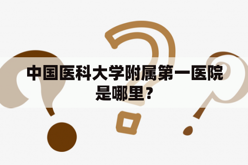 中国医科大学附属第一医院是哪里？