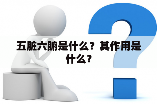 五脏六腑是什么？其作用是什么？