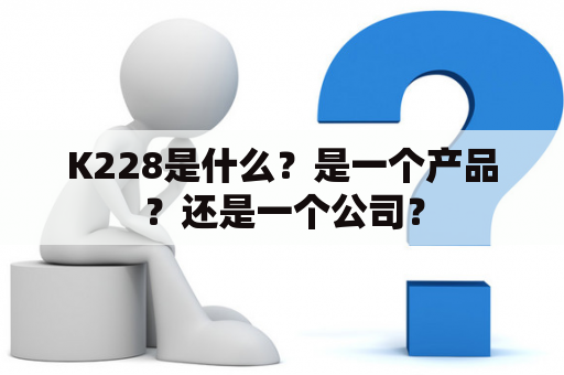 K228是什么？是一个产品？还是一个公司？