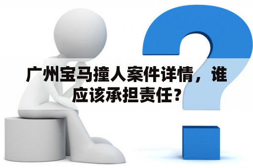 广州宝马撞人案件详情，谁应该承担责任？