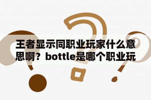 王者显示同职业玩家什么意思啊？bottle是哪个职业玩家？