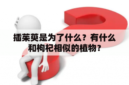 插茱萸是为了什么？有什么和枸杞相似的植物？