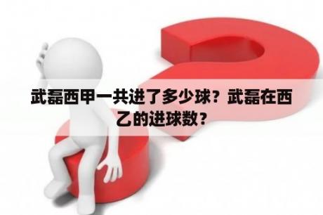 武磊西甲一共进了多少球？武磊在西乙的进球数？