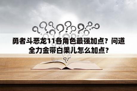 勇者斗恶龙11各角色最强加点？问道全力金带白果儿怎么加点？