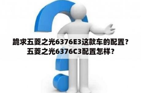 跪求五菱之光6376E3这款车的配置？五菱之光6376C3配置怎样？