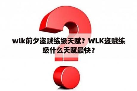 wlk前夕盗贼练级天赋？WLK盗贼练级什么天赋最快？