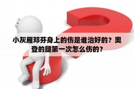 小灰雁邓芬身上的伤是谁治好的？奥登的腿第一次怎么伤的？