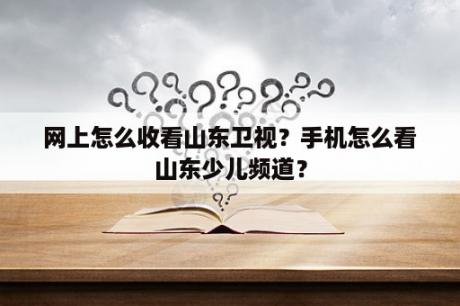 网上怎么收看山东卫视？手机怎么看山东少儿频道？