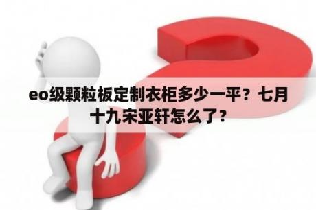 eo级颗粒板定制衣柜多少一平？七月十九宋亚轩怎么了？