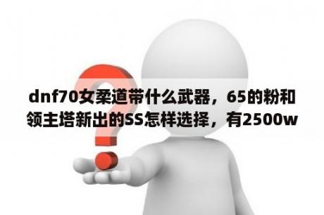 dnf70女柔道带什么武器，65的粉和领主塔新出的SS怎样选择，有2500w可以给你挥霍，莫小气？DNF女柔道怎么带拳套？