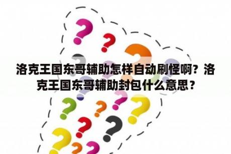 洛克王国东哥辅助怎样自动刷怪啊？洛克王国东哥辅助封包什么意思？