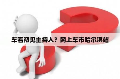 车若初见主持人？网上车市哈尔滨站