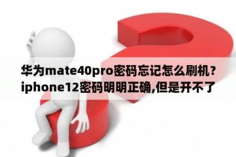 华为mate40pro密码忘记怎么刷机？iphone12密码明明正确,但是开不了？