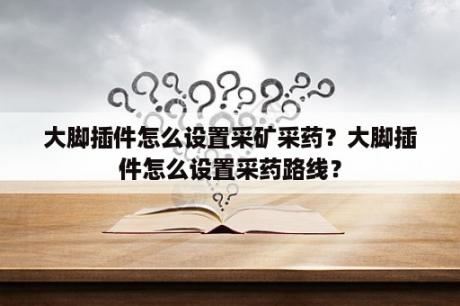 大脚插件怎么设置采矿采药？大脚插件怎么设置采药路线？