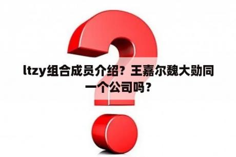 ltzy组合成员介绍？王嘉尔魏大勋同一个公司吗？