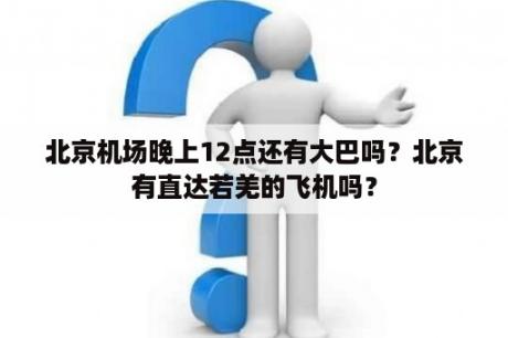 北京机场晚上12点还有大巴吗？北京有直达若羌的飞机吗？