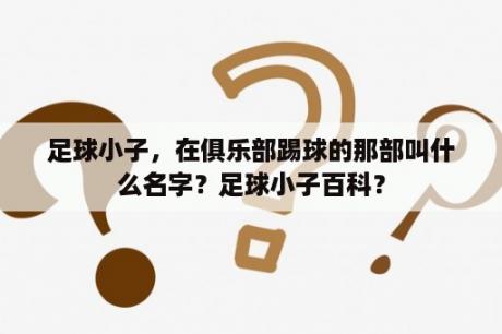 足球小子，在俱乐部踢球的那部叫什么名字？足球小子百科？