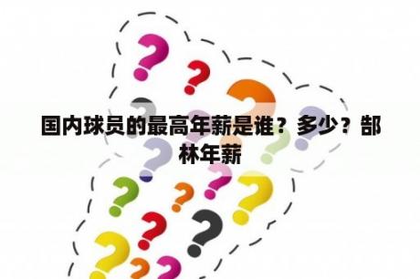 国内球员的最高年薪是谁？多少？郜林年薪