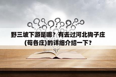 野三坡下游是哪？有去过河北狗子庄(苟各庄)的详细介绍一下？