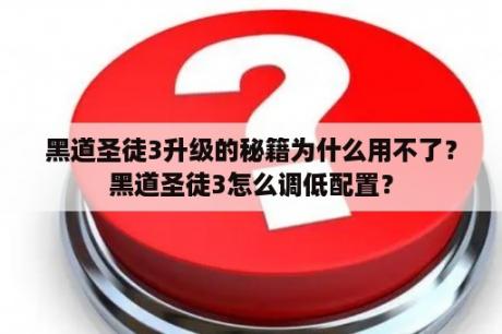 黑道圣徒3升级的秘籍为什么用不了？黑道圣徒3怎么调低配置？