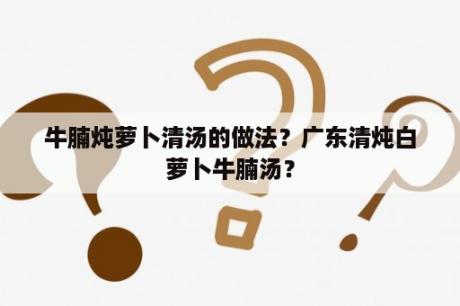 牛腩炖萝卜清汤的做法？广东清炖白萝卜牛腩汤？