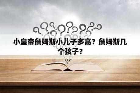 小皇帝詹姆斯小儿子多高？詹姆斯几个孩子？