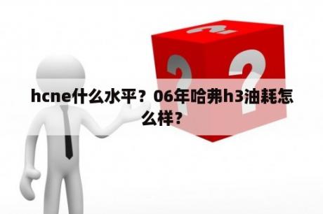 hcne什么水平？06年哈弗h3油耗怎么样？