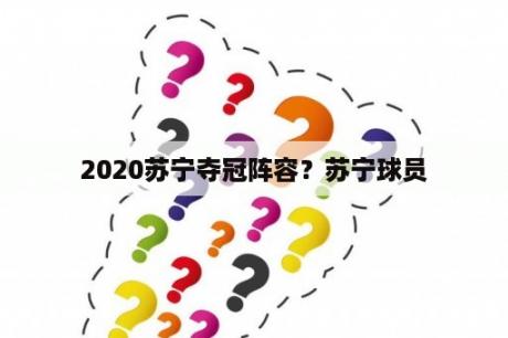 2020苏宁夺冠阵容？苏宁球员