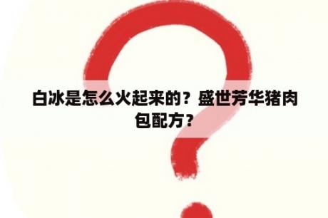 白冰是怎么火起来的？盛世芳华猪肉包配方？