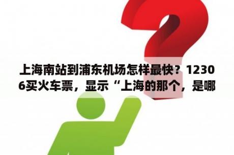 上海南站到浦东机场怎样最快？12306买火车票，显示“上海的那个，是哪个站？