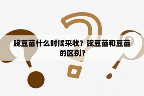 豌豆苗什么时候采收？豌豆苗和豆苗的区别？