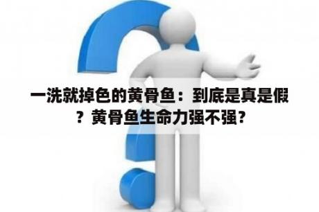 一洗就掉色的黄骨鱼：到底是真是假？黄骨鱼生命力强不强？