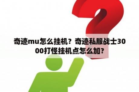 奇迹mu怎么挂机？奇迹私服战士3000打怪挂机点怎么加？