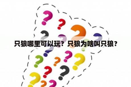 只狼哪里可以玩？只狼为啥叫只狼？