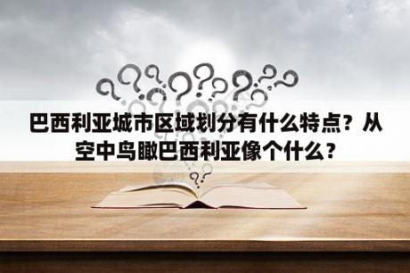 巴西利亚城市区域划分有什么特点？从空中鸟瞰巴西利亚像个什么？