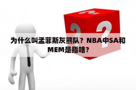 为什么叫孟菲斯灰熊队？NBA中SA和MEM是指啥？