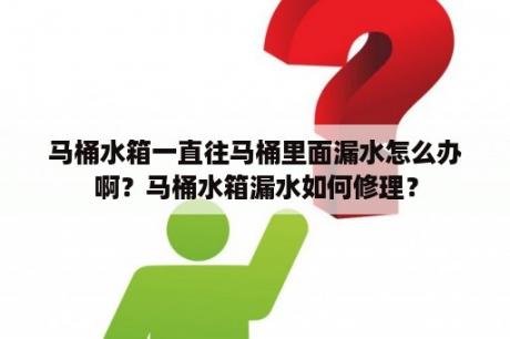 马桶水箱一直往马桶里面漏水怎么办啊？马桶水箱漏水如何修理？