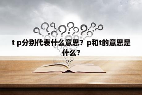 t p分别代表什么意思？p和t的意思是什么？