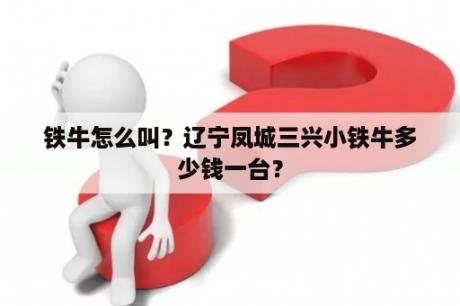 铁牛怎么叫？辽宁凤城三兴小铁牛多少钱一台？