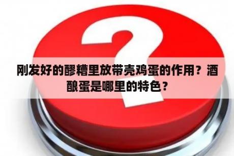 刚发好的醪糟里放带壳鸡蛋的作用？酒酿蛋是哪里的特色？