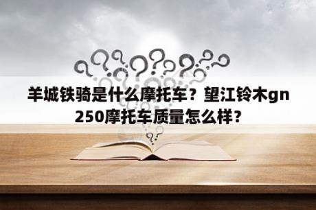 羊城铁骑是什么摩托车？望江铃木gn250摩托车质量怎么样？