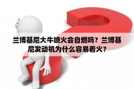 兰博基尼大牛喷火会自燃吗？兰博基尼发动机为什么容易着火？